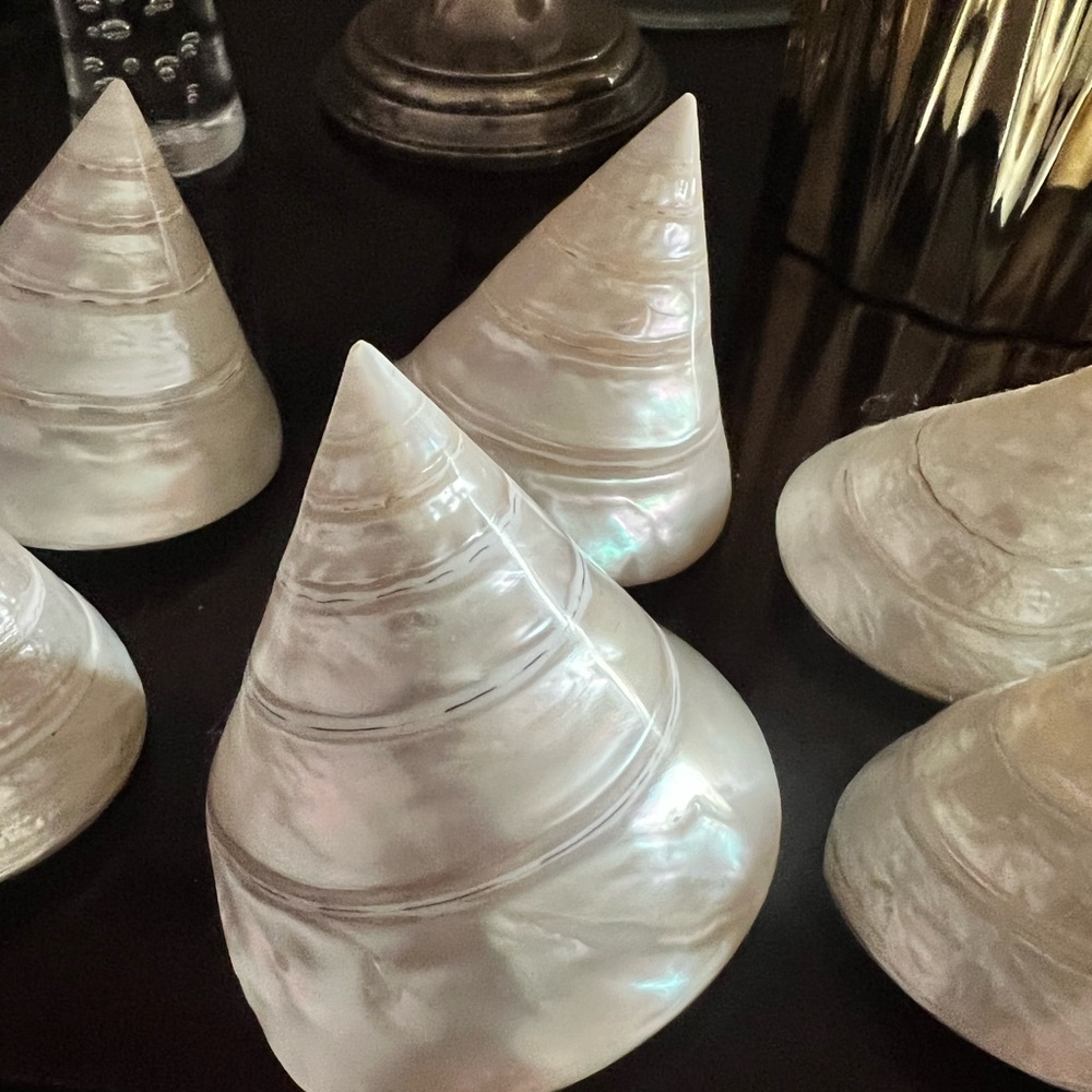 Large Polished Trochus Pearled Shell